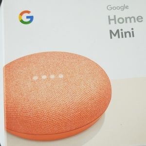 Google home mini